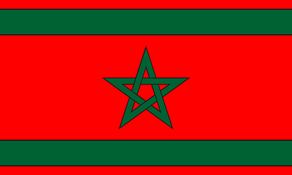 WRC Flag by Hakeem Bey